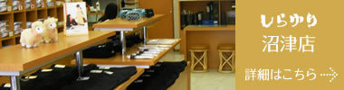 沼津店